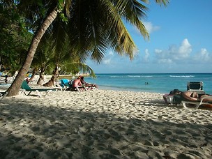 Barbados  				 / Katalog państw  				 / Przydatne katalogi