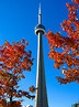 CN Tower - stalowy symbol Toronto  				 / Atrakcje turystyczne  				 / W podróży  				 / Dla podróżników