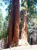 Sequoia National Park  				 / Katalog zdjęć  				 / Przydatne katalogi
