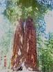 Sequoia National Park  				 / Katalog zdjęć  				 / Przydatne katalogi