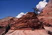 Zion National Park  				 / Katalog zdjęć  				 / Przydatne katalogi